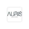 Auris-hotels discount code