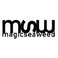 Off 5% Magicseaweed