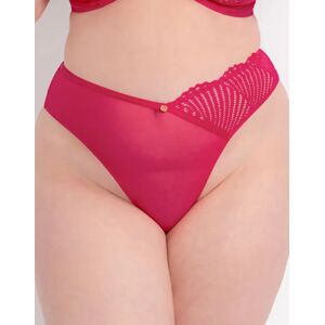 Off 52% Scantilly Authority Thong Hot Pink Curvy Kate Ltd