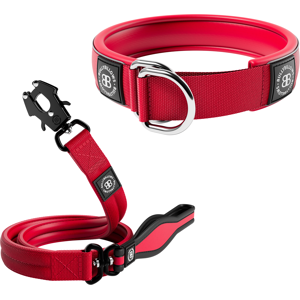 OFF 20% BullyBillows 5cm Slip-on Collar & Mini Combat Lead Bundle – Red BullyBillows
