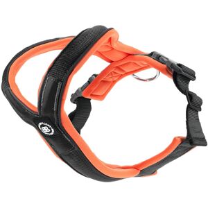 OFF 40% BullyBillows Slip on Harness Foam Padded - Black x Orange ( 2 ) BullyBillows