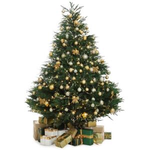 OFF 36% 6cm Red Bauble Set Shiny/Matt (40 pc) - Christmas Tree ... Christmas Tree World