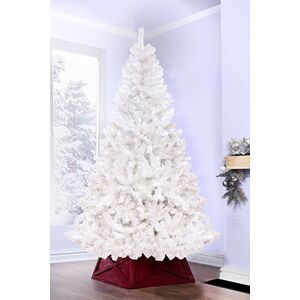Off 52% The 7ft Bianca Pine Christmas Tree  - Christmas Tree World Christmas Tree World