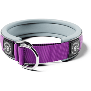 OFF 40% BullyBillows 4cm Slip on Collar Foam Padded - Purple x ... BullyBillows