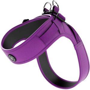 OFF 30% BullyBillows Boomerang Harness - XS-M Breeds - Purple ( Medium ) BullyBillows