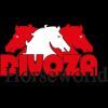 Divoza Horseworld discount code